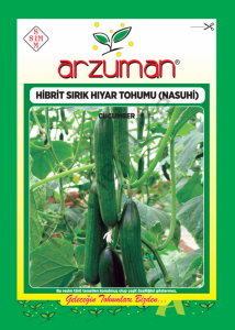 Hıyar Tohumu Nasuhi F1