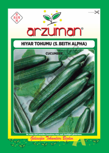 Hıyar Tohumu Süper Beith Alpha