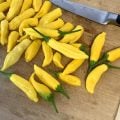 Limon Damlası Acı Biber Tohumu (10 Tohum)