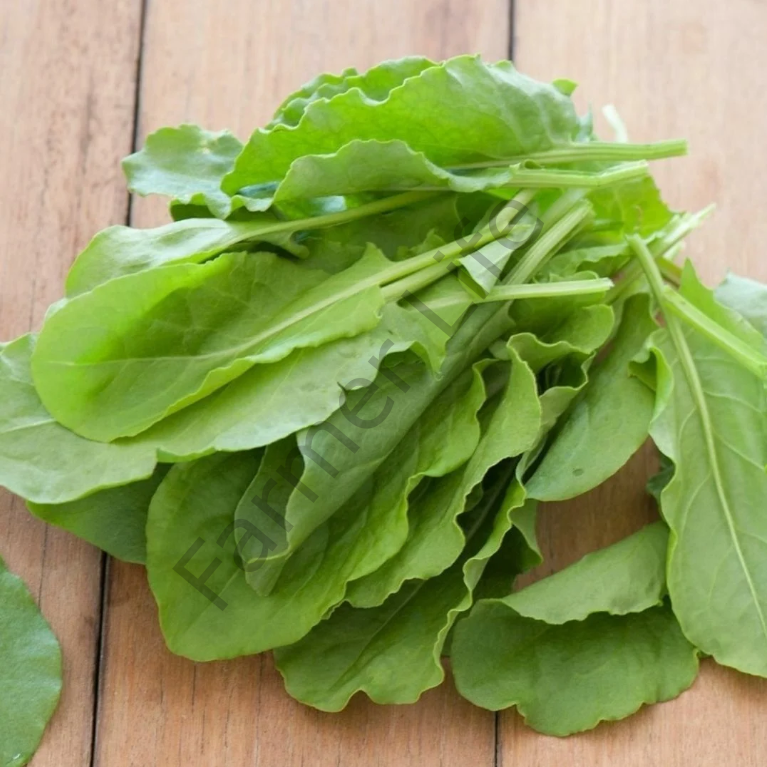 Yerli Kuzu Kulağı Ekşi Otu Fidesi 12 Adet