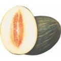 Hasanbey Kavun Tohumu 10 Kg