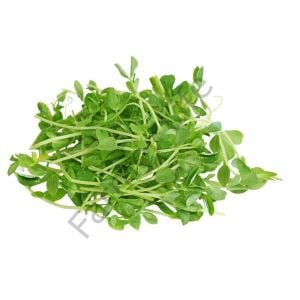 Microgreen Yeşillik Bezelye Tohumu 100 gr