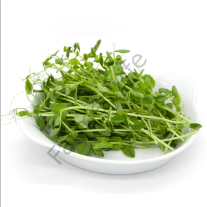 Microgreen Yeşillik Bezelye Tohumu 100 gr