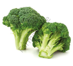 Organik Microgreen Brokoli Tohumu 10gr