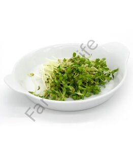 Microgreen Çemen otu Tohumu 100 gr