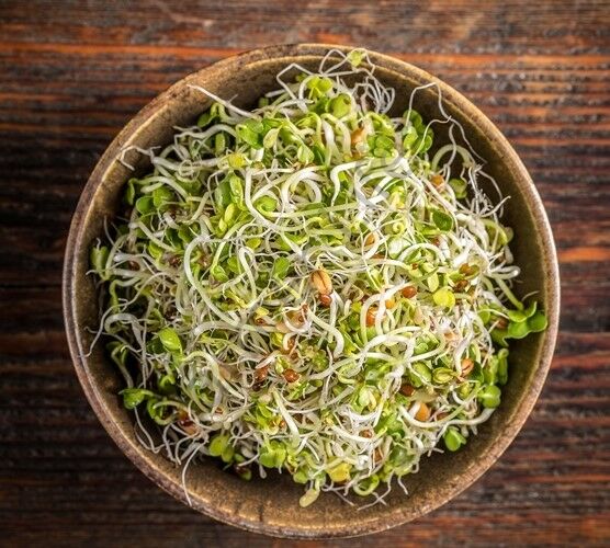 Organik Microgreen Rezene Tohumu 50 gr