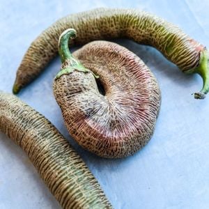 Makedonya Biberi Tohumu (10 Tohum)
