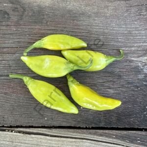 Balık Biberi Tohumu (50 Tohum)