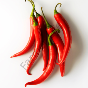 Dev Chili Biberi Tohumu (5 Tohum)