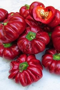 (Tatlı) Kamber Domates Biber Fidesi 6 Adet