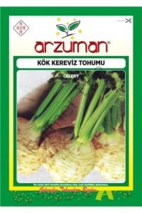 25000 Adet Kök Kereviz Tohumu