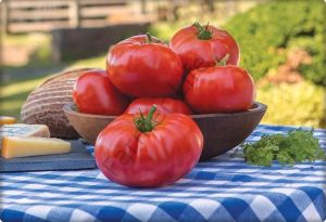 Köy Tipi Pembe Domates Fidesi (Ege Pembesi) 6 Adet