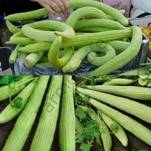 Atalık Acur Fidesi 6 Adet